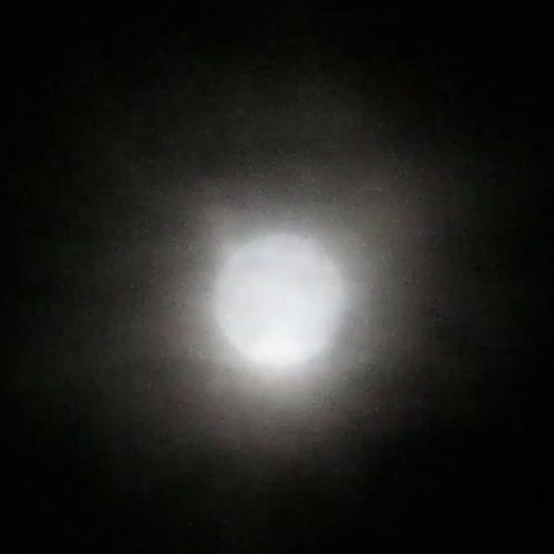 The Constant (just like punk except it's cars)