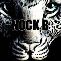 Nock B - Pardus [Live Set]