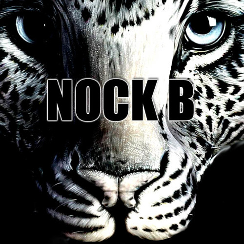 Nock B - Pardus [Live Set]