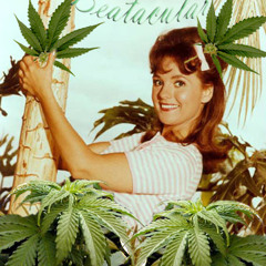 Mary Jane on My Mind