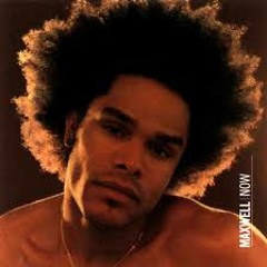 Maxwell - Pretty wing cover