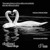Artwork for Touchstone & Ian Standerwick - She's Wonderful  (Original Vocal Mix)