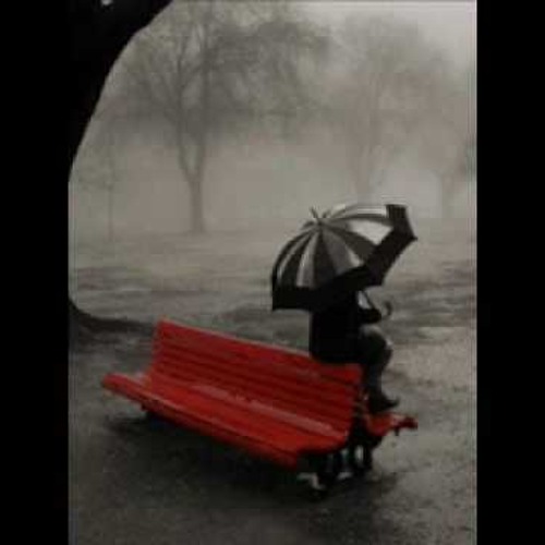 قالوا سكت | مشاري راشد