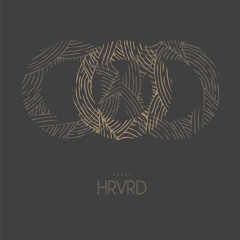HRVRD - Cardboard Houses