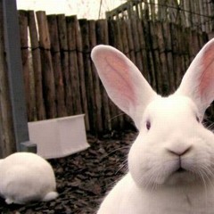 The Back To Work Mix