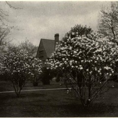 Mouth Full of Cavities (Blind Melon)