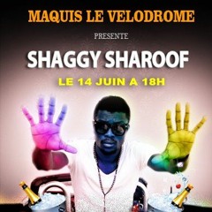 Shaggy Sharoof les MAITRE DU BOUCAN