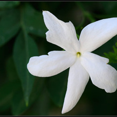 You are so beautiful