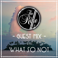 What So Not - The Ripe 'House Party Tour' Guest Mix (September 2012)