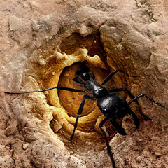 Stenli - obseben (Ky3eB remix) / Bulgarian dubstep