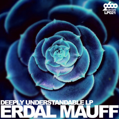 2600netLP021 - 01 - Erdal Mauff - +100% - Snippet