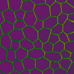 Asia-Afrika Soundsystem & Whiteboard Journal presents: W DUB