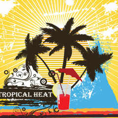 Tropical Heat # 13