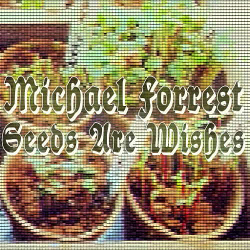 Seeds Are Wishes