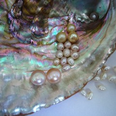 Pearls and Shells