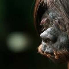 Doesn't your head hurt?