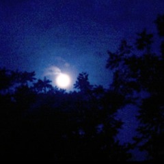 ก้อนหินละเมอ