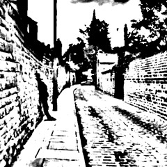 Make It Stay - Pet Accessories