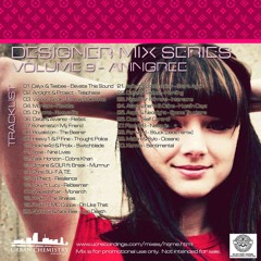 Designer Mix Series Vol.9 mixed by AnnGree