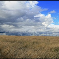 El sonido de el viento