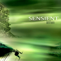 Sensient - New World