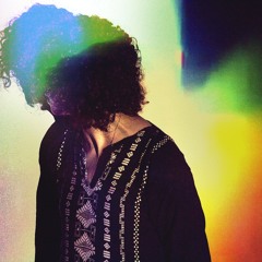 Vinyl Williams - Harmonious Change