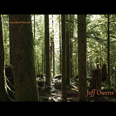 Medatation Wind Chimes