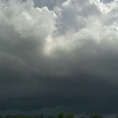 New Original - Anchors Away(ruff Cut) at My living room