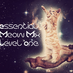 Le BaconCat - Essential Meow Mix Level 1