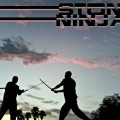 Stone Ninjaz :  Talk It Walk It (Original)