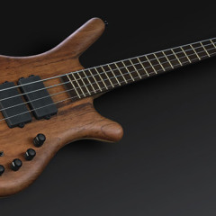 Warwick Corvette $$ Bartolini 4 profile demo