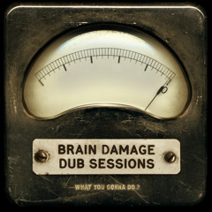 Brain Damage Dub Sessions "What You Gonna Do?" - 01 - What you gonna do w/ Zeb McQueen