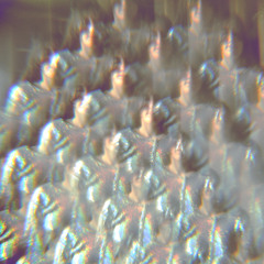 Stealing Sheep - The Garden