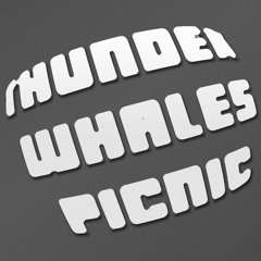 Thunder Whales Picnic (the pillows) Cover