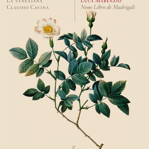 Luca Marenzio - Crudele, Acerba, Inesorabil (fragment)