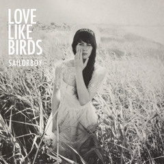 Love Like Birds - Sailorboy (Radio Mix)