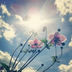 MOJIITO - BEAUTIFUL DAY