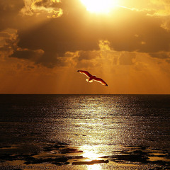 Nac - Eres Importante (Prod. Seienege) (Beat Dhs)