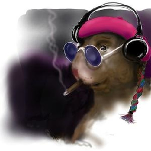 Hamster Song12 - REVISED 09.12.09 Mastered