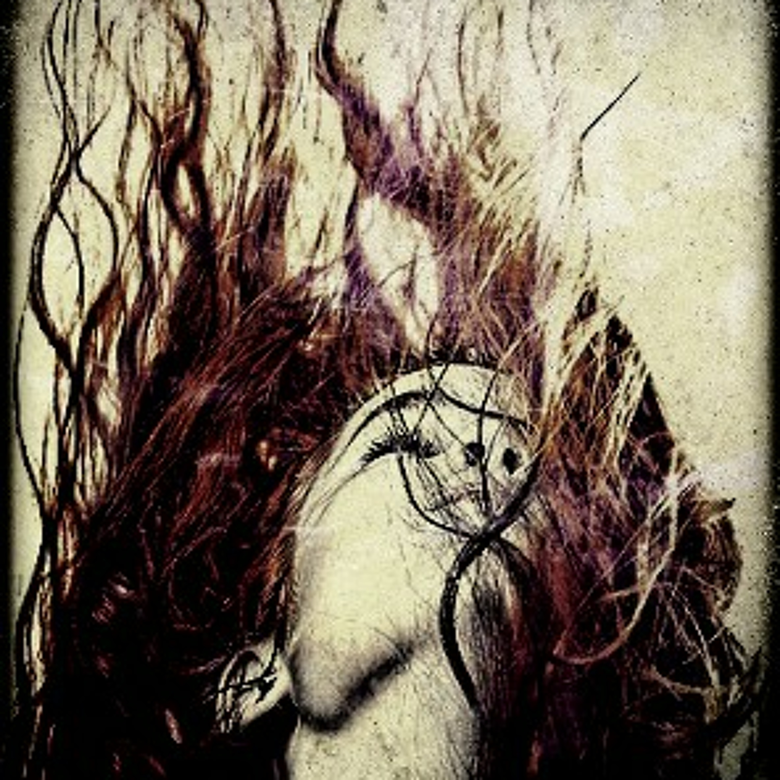 LesleyWoodSpokenWord