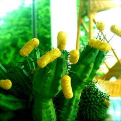 Nudist Popcorn Party Blues