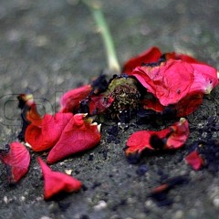 Mikey Riot: ~ "Where Did All the Passion Go?"