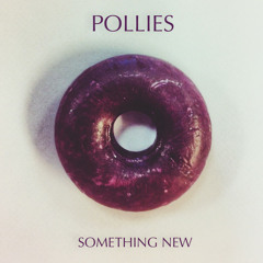 The Pollies - Something New (single)