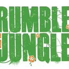 Amiga Junglism - Amiga Rumblism (Rollout Mix)