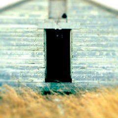 Bigger Fish Than Guns - Through The Green Door - 01 Ego & I