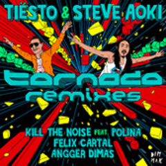 Steve Aoki & Tiesto - Tornado (Felix Cartal Remix)