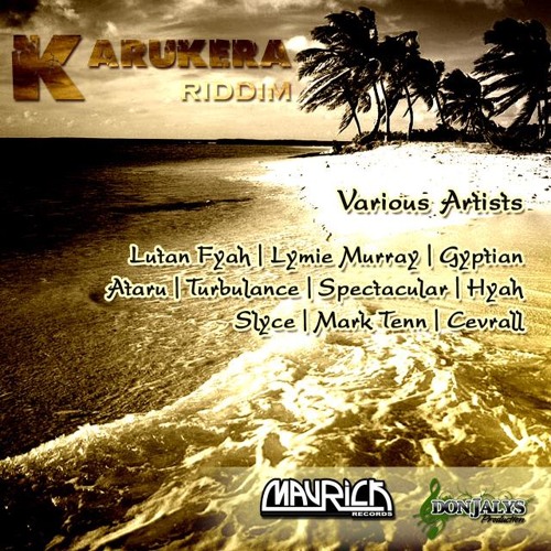 TURBULENCE - BURN DEM OUT