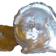 The Exhalers - "Pearls and Shells"