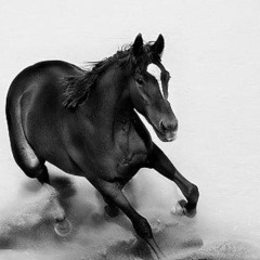 توزيع انترو بنات الريح | موسيقى musical intro for banat alreeh song