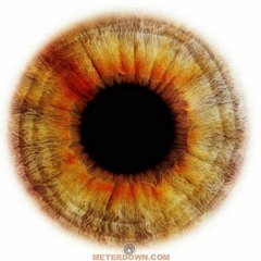 NIN Something I Can Never Have Cover